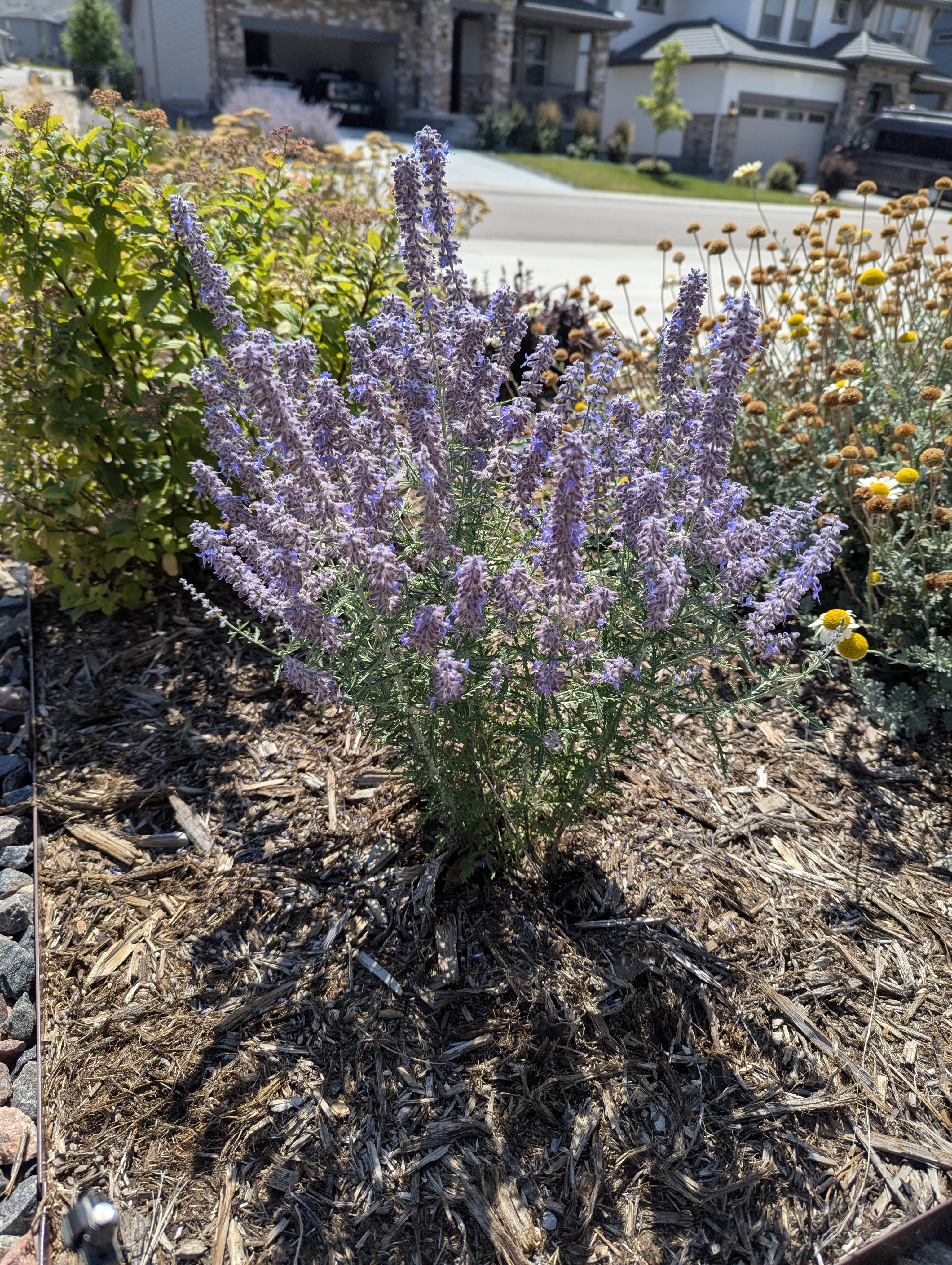 Garden, Morrison, Colorado